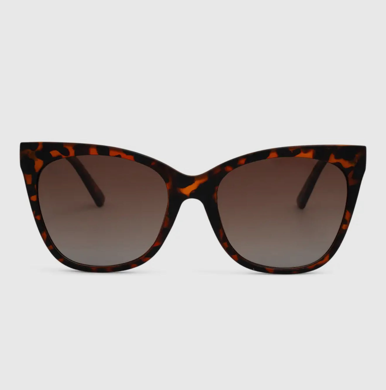 Dax Sunglasses