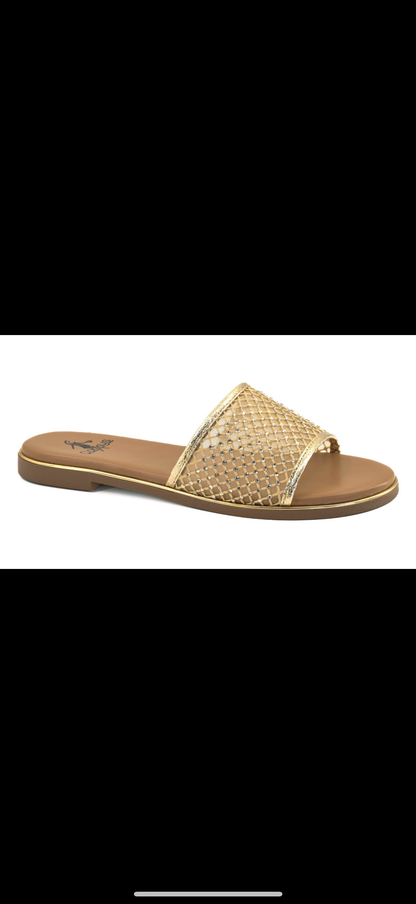 Corky Just Meshin’ With Ya Sandal