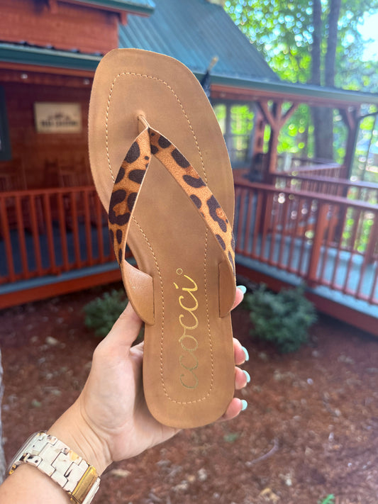 Ccocci Cheetah Flip Flop Sandal
