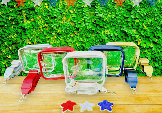 Clear Stadium Purse Bag